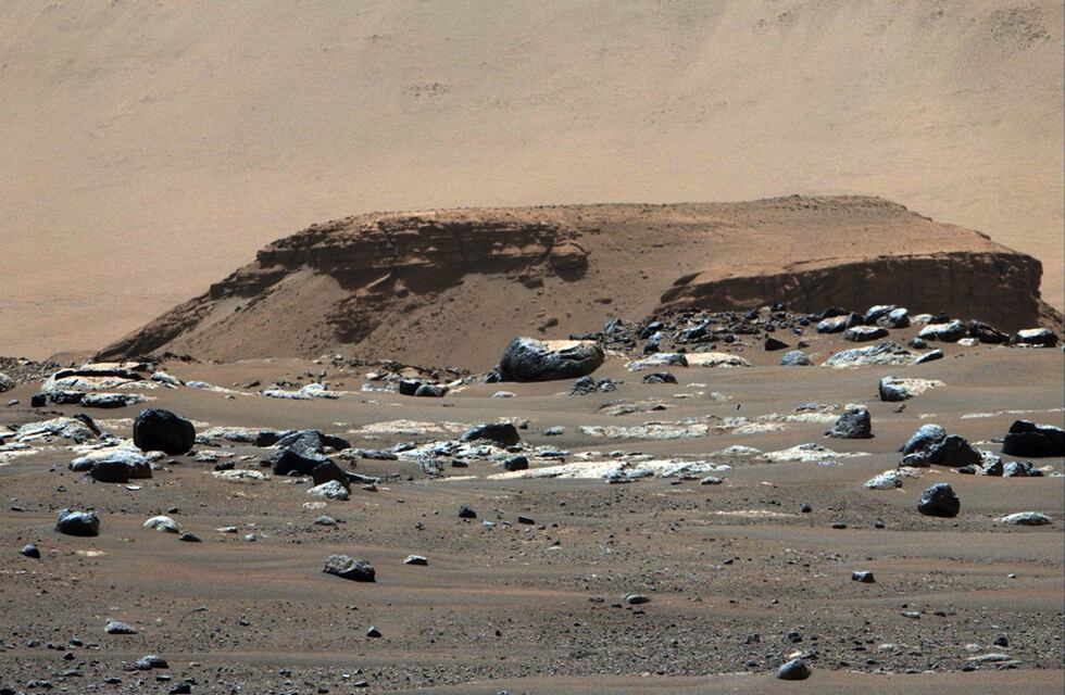 La NASA halló pruebas que podrían confirmar que hubo vida en Marte en el pasado