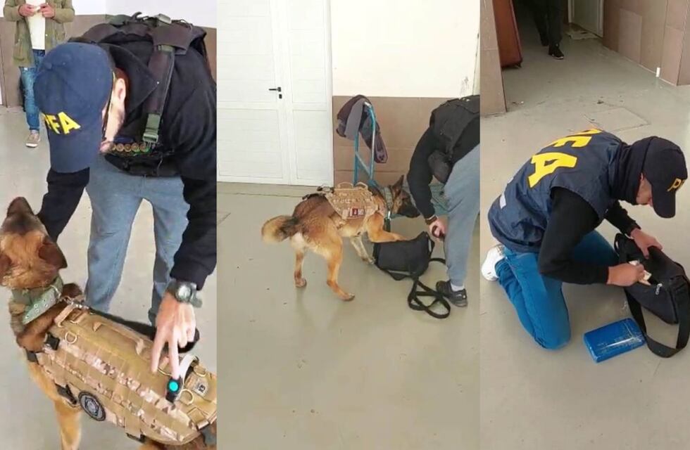 Video: Aquiles detectó cocaína en la Terminal de San Rafael y desbarataron a toda una banda
