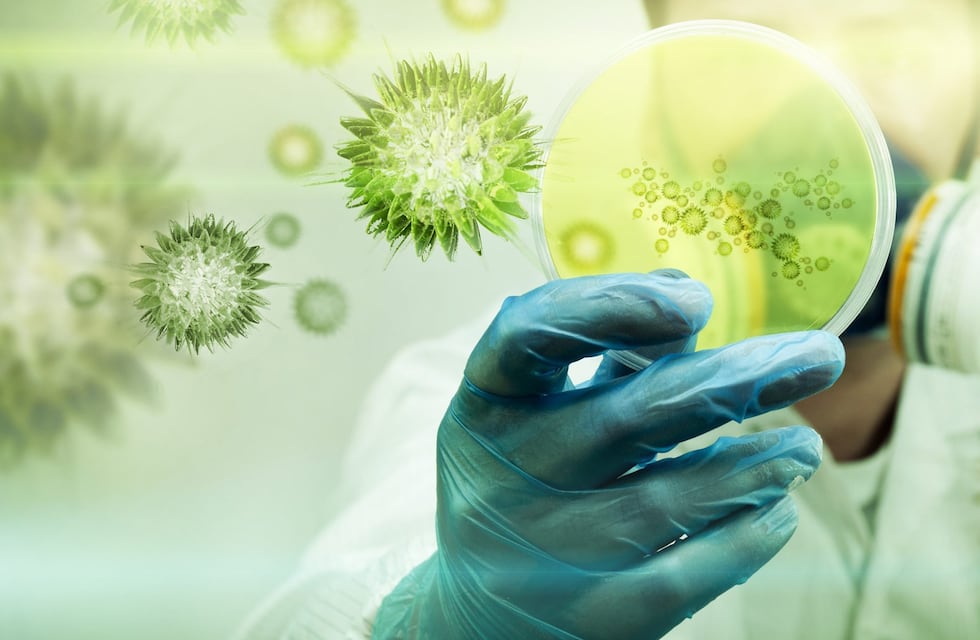 Coronavirus: San Luis confirmó 86 nuevos casos y no se reportaron fallecidos