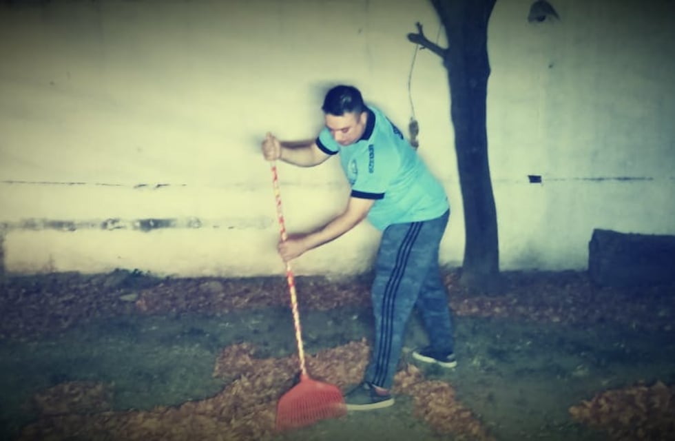 ¡Un cordobés lo hizo de nuevo! La increíble imagen de Maradona hecha con hojas de árbol