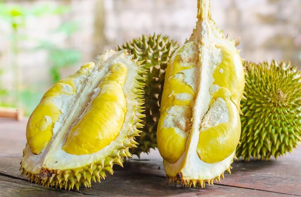 Un poco de conocimiento sobre frutas, el Durian