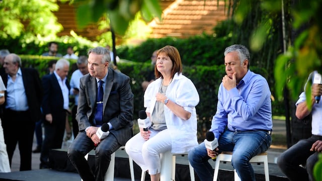 Patricia Bullrich, en el plenario de Juntos por el Cambio de este lunes. (Clarín)