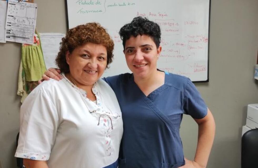 Calidad y accesibilidad de los servicios gerontológicos