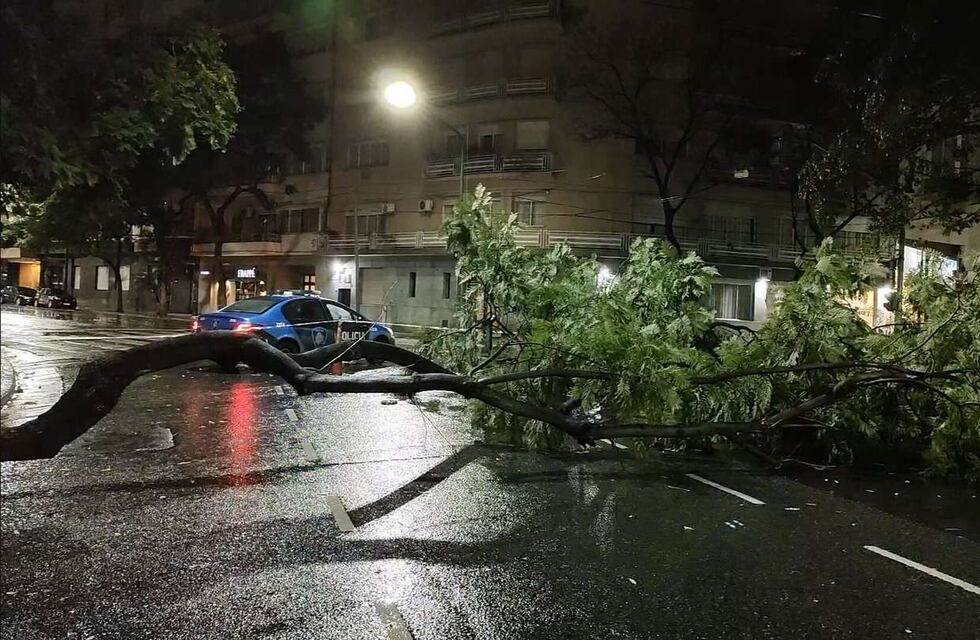 Las imágenes de lo que dejó la tormenta de esta madrugada en Ciudad de Buenos Aires y alrededores