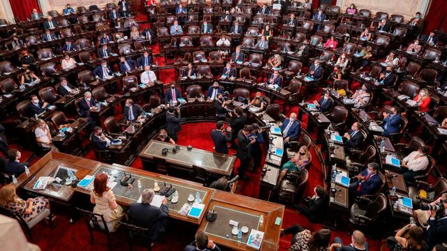 Máximo Kirchner impulsa un cambio de lo aprobado por el Senado. (Prensa Diputados)