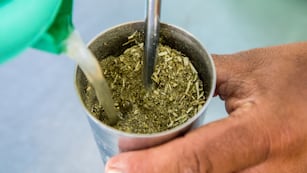 Cómo hacer tereré fresco.