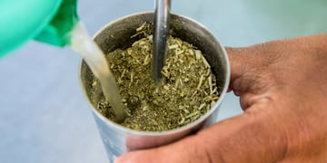 Cómo hacer tereré fresco.