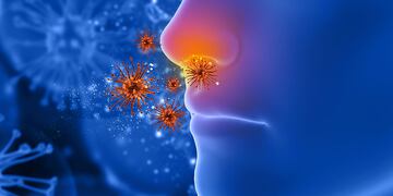 El informe diario del ministerio de Salud informó que se procesaron 704 determinaciones de las cuales 625 fueron negativas. Gentileza