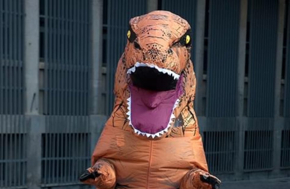 ¿Vivo?: el video viral de un dinosaurio revolviendo la basura en un parque de Rosario