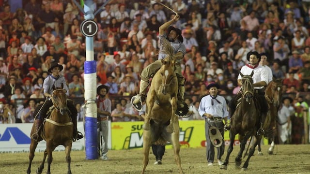 Además de los artistas, el festival contará con la tradicional doma. (Gentileza Festival de Jesús María).