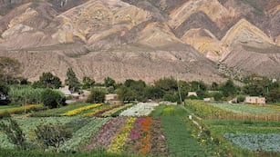El cerro Paleta del Pintor, una obra de arte de la naturaleza que caracteriza a Maimará, uno de los pueblos del mundo que promueven el turismo rural sostenible y por ello mereció el galardón de ONU Turismo.