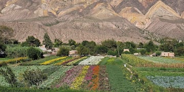 El cerro Paleta del Pintor, una obra de arte de la naturaleza que caracteriza a Maimará, uno de los pueblos del mundo que promueven el turismo rural sostenible y por ello mereció el galardón de ONU Turismo.