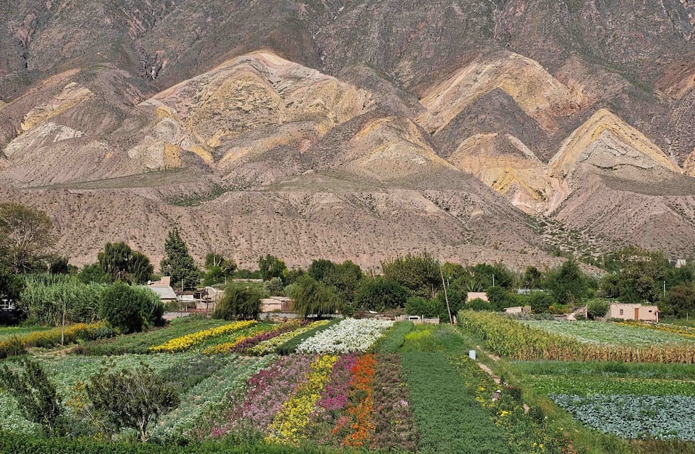La Legislatura de Jujuy celebró el galardón mundial otorgado a Maimará por ONU Turismo