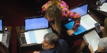 jose mayans juliana di tullio sesion senado dnu