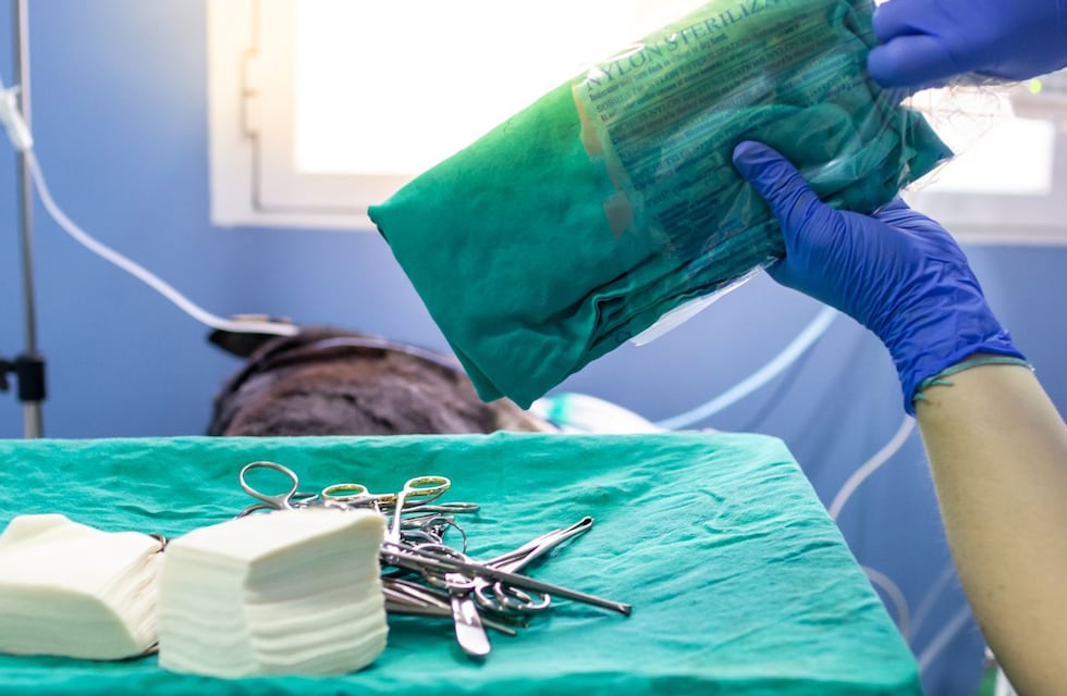 Punta Alta: el Quirófano Veterinario Móvil continúa atendiendo en la oficina de Bromatología