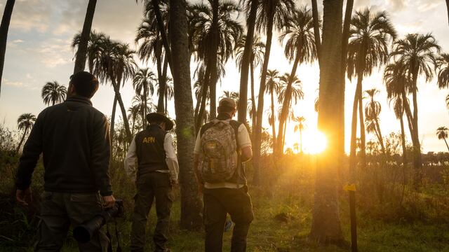 Este finde largo disfrutá de los beneficios de ConcorPass.