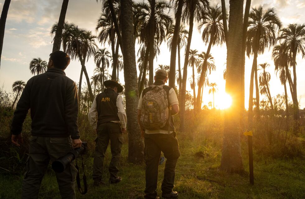 Este fin de semana largo, disfrutá de Concordia con todos los beneficios de ConcorPass