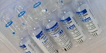 Regulador brasileño niega permiso para importar vacuna Sputnik V contra covid-19
Foto:Orlando Pelichotti / Los Andes