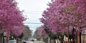 Brinkmann, el jardín de Ansenuza.