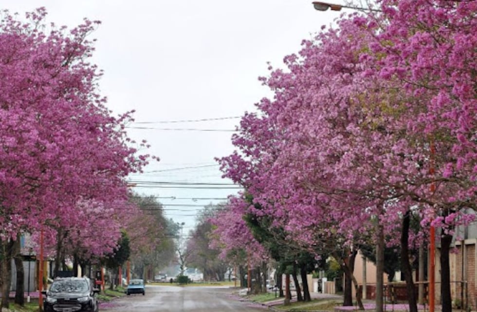 Así va a estar el clima este fin de semana en Ansenuza