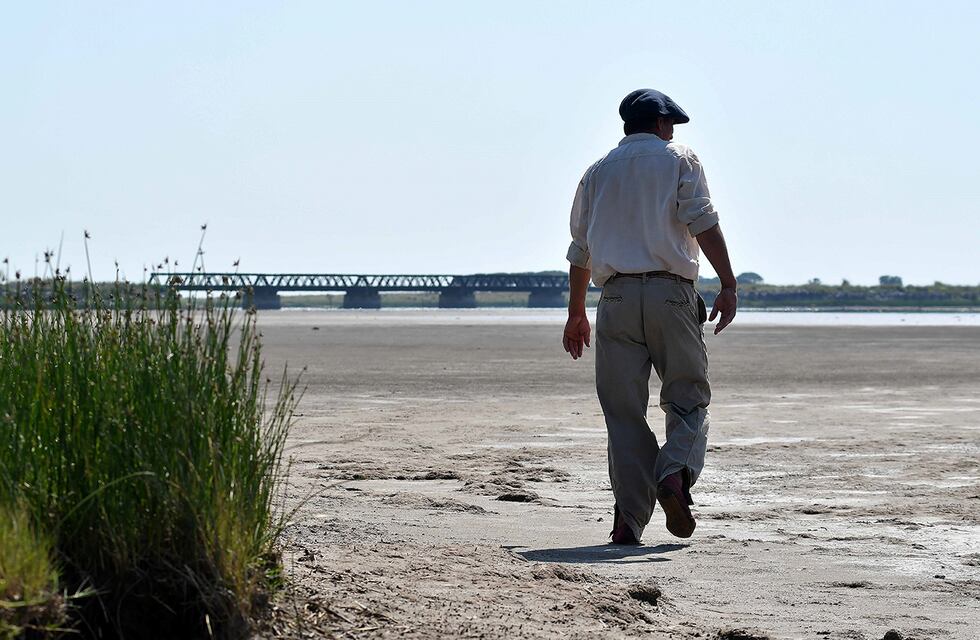 Un personaje de Dragon Ball apareció en el sur de Córdoba y sorprendió a todos los vecinos