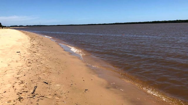 Proyecto Costanera Nebel