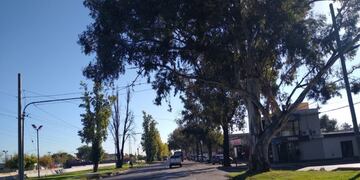 El Carril Cervantes es una de las arterias en la que se construirá el nuevo trazado de la ciclovía en Godoy Cruz. Gentileza Gobierno de Mendoza