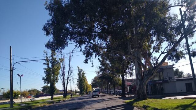 El Carril Cervantes es una de las arterias en la que se construirá el nuevo trazado de la ciclovía en Godoy Cruz. Gentileza Gobierno de Mendoza