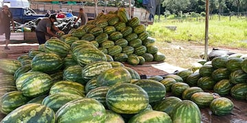 Ruiz de Montoya celebra la 15ª Fiesta Provincial de la Sandía en un nuevo predio natural.