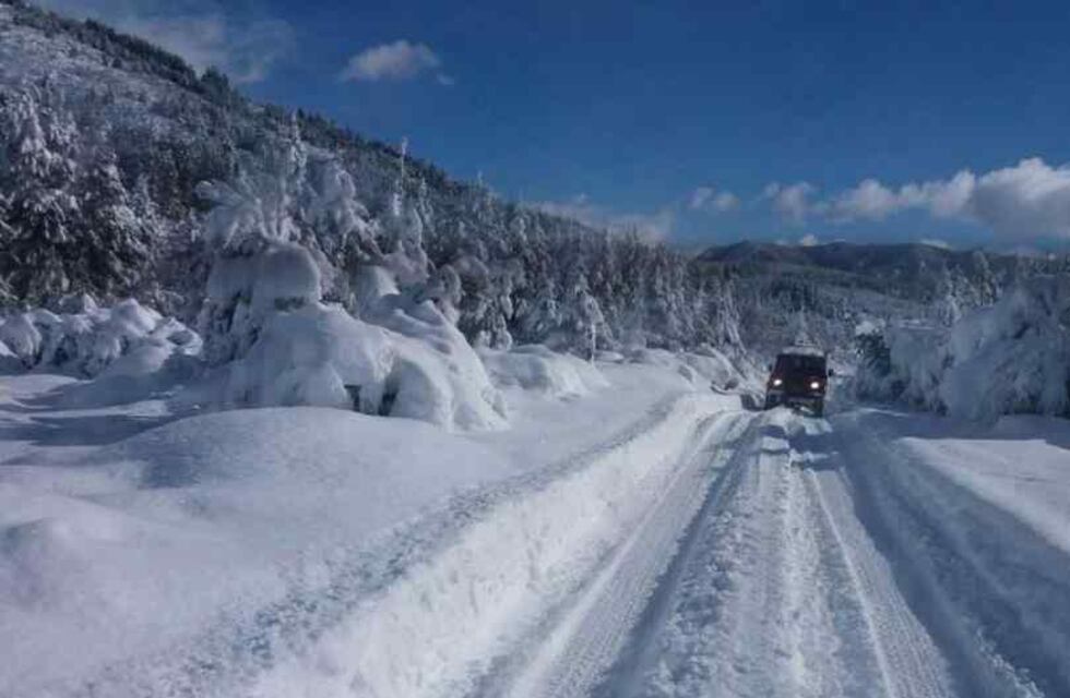 Bariloche amaneció teñida de blanco: una inmensa nevada cubrió toda la ciudad, incluyendo el centro y la costanera