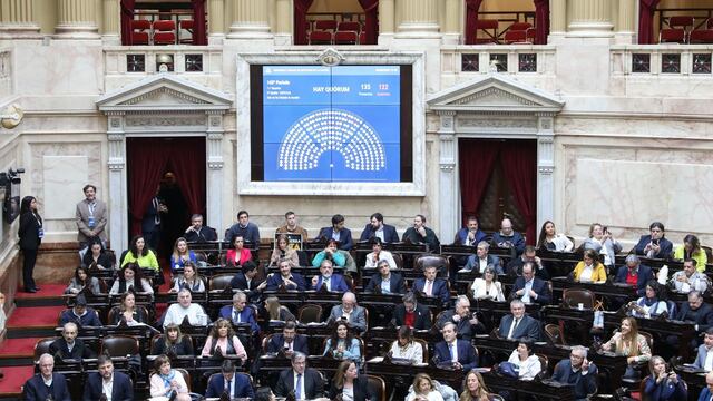 Sesión en la Cámara de Diputados por el presupuesto universitario y otros temas (Foto: HCDN)