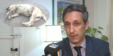 El abogado ya se presentó en la Justicia como querellante del animal.
