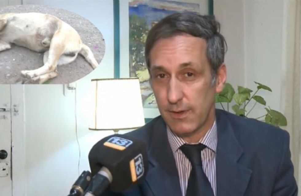 Inédito: un perro asesinado de un escopetazo en San Juan será defendido por un abogado