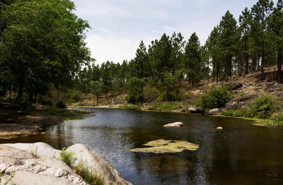 Sitios para conocer en Punilla: Flor serrana, el paraíso de la tranquilidad pegado a Tanti