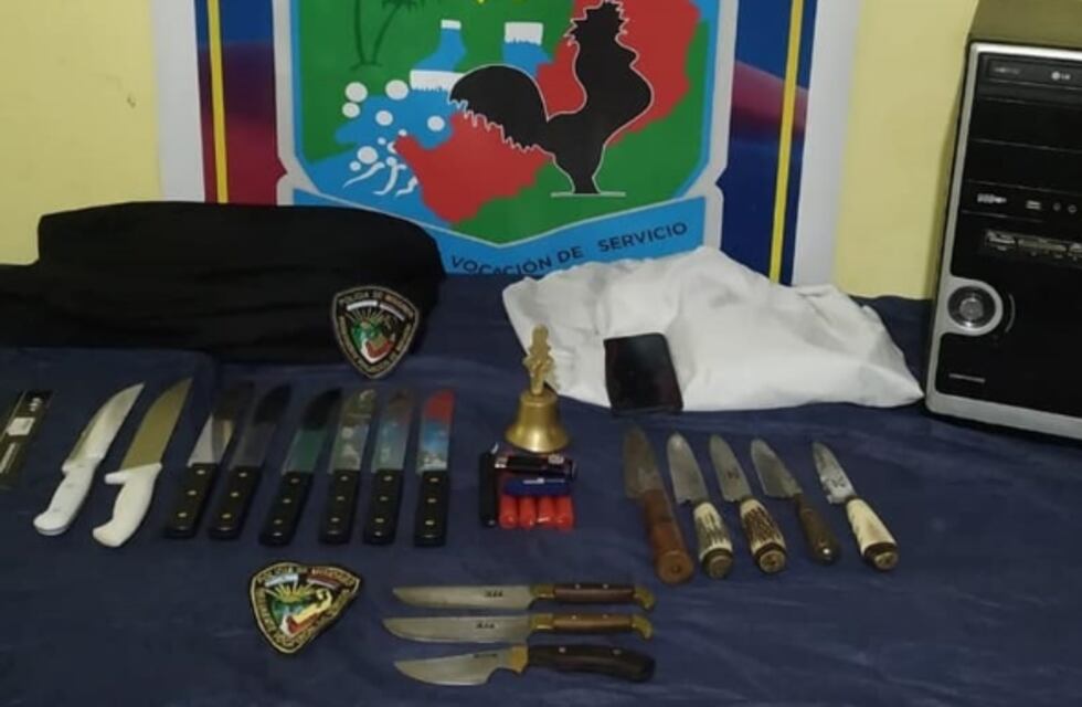 Tras una denuncia por maltrato animal, allanan una vivienda y secuestran varios objetos en Puerto Iguazú