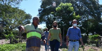 Avanza la entrega de títulos a productores rurales.