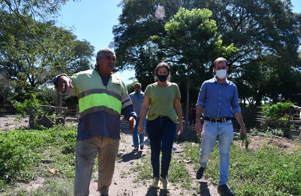 Avanza la entrega de títulos de propiedad a pequeños y medianos productores