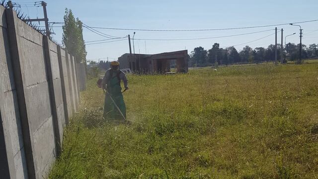 Desmalezados en Rafaela