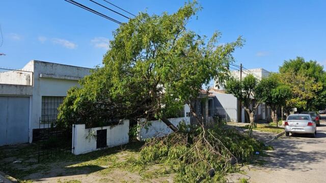 Se dieron a conocer las cifras del temporal de granizo en Bahía Blanca.