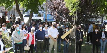 Hubo discursos de familiares y luego colocaron plantines como recordatorio en la plaza de la Memoria.