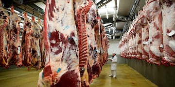 La Dirección General de Aduanas denunció a 19 frigoríficos por irregularidades en la exportación de carnes.