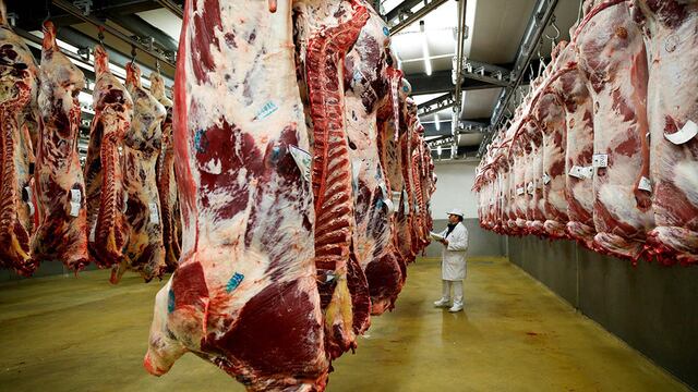 Exportaciones de carnes vuelven en forma parcial al mercado internacional