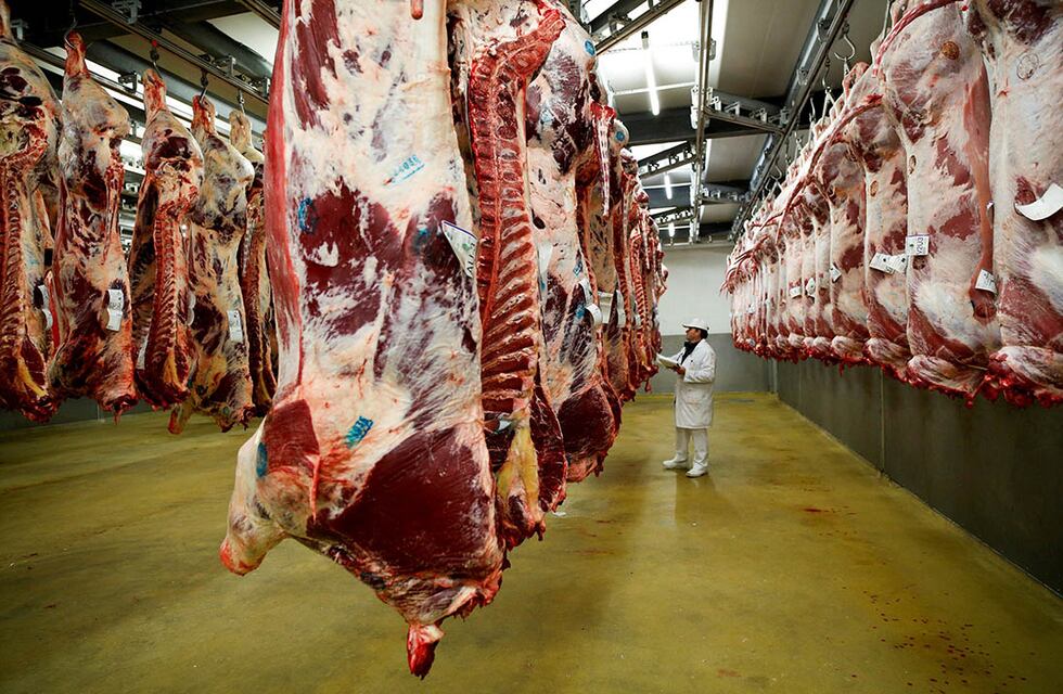 Con el campo en alerta, el Gobierno prepara un nuevo mecanismo para reabrir las exportaciones de carne