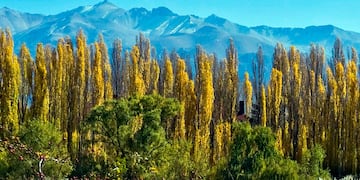 Turismo en Mendoza, al pie de la Cordillera de los Andes.