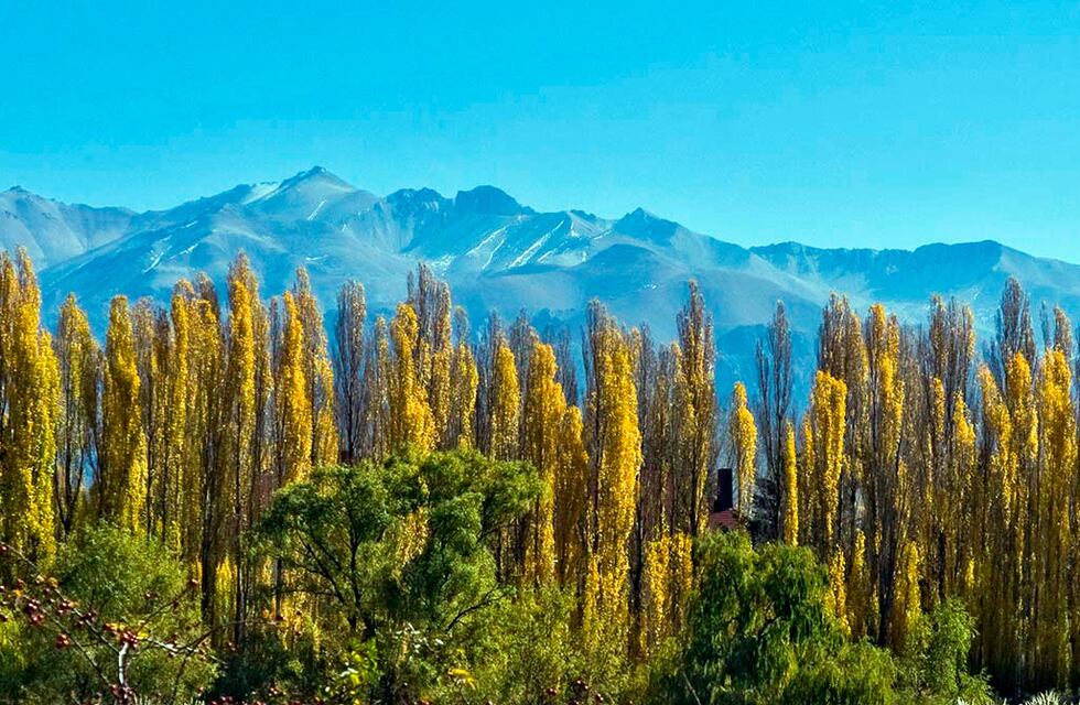 Sale Mendoza: últimos días para acceder a los paquetes turísticos