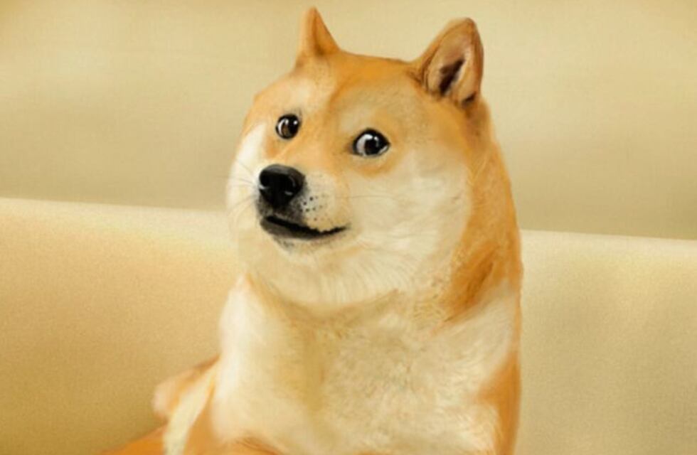 ¿Por qué el logo de Twitter ahora es el perro de los memes? Esta podría ser la razón