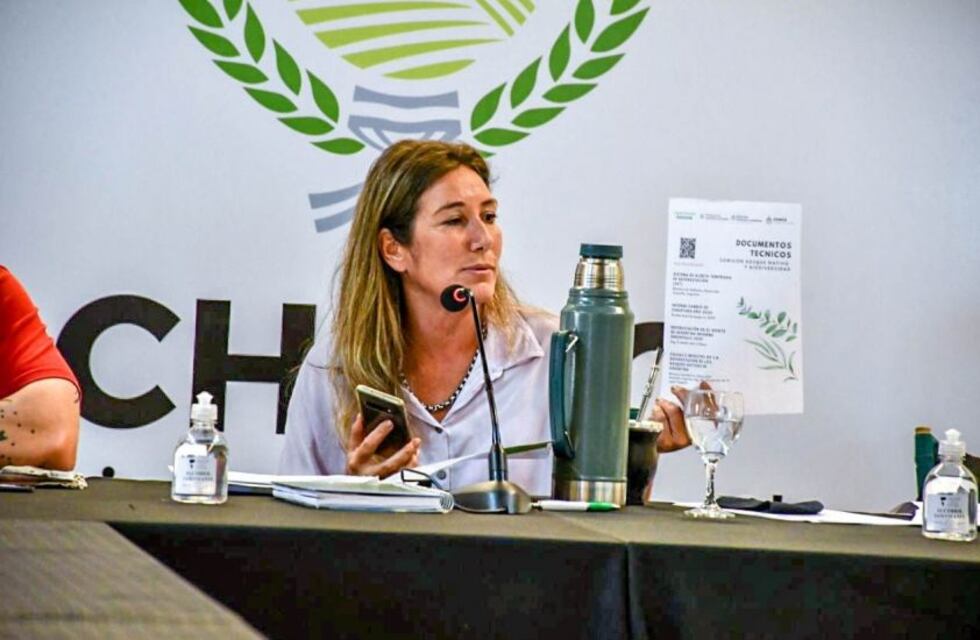 Chaco avanza en actualizar el ordenamiento de sus bosques nativos