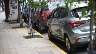 Una conductora intentó estacionar su camioneta y provocó un verdadero desastre en el centro de Córdoba.