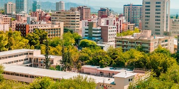 Un vecino de Ciudad de Mendoza se cansó de que le robaran las plantas y escribió un polémico cartel que colgó en su casa.