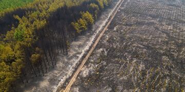 Los incendios en Corrientes ya arrasaron con 800 mil hectáreas.
